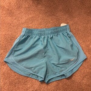 Nike Blue Athletic Shorts